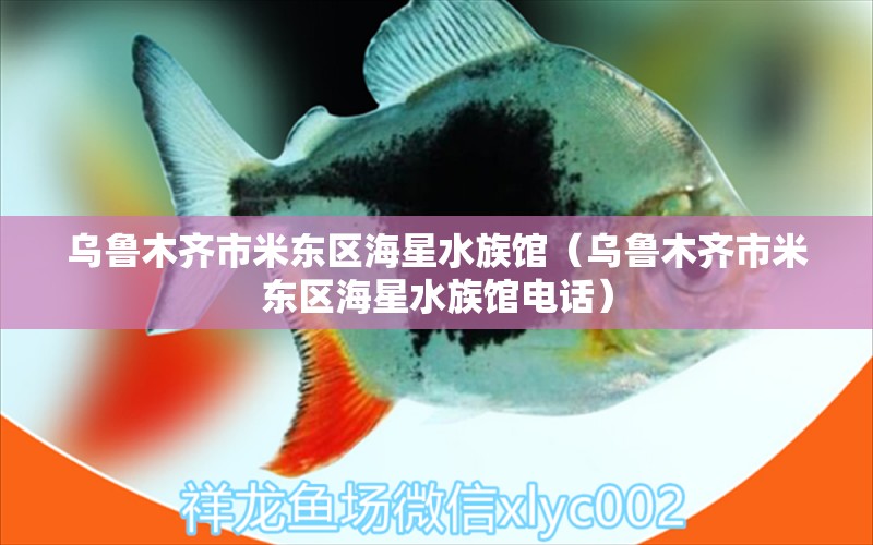 乌鲁木齐市米东区海星水族馆（乌鲁木齐市米东区海星水族馆电话） 全国水族馆企业名录