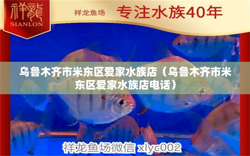 乌鲁木齐市米东区爱家水族店（乌鲁木齐市米东区爱家水族店电话）