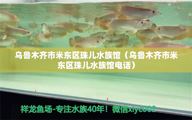 乌鲁木齐市米东区珠儿水族馆（乌鲁木齐市米东区珠儿水族馆电话）