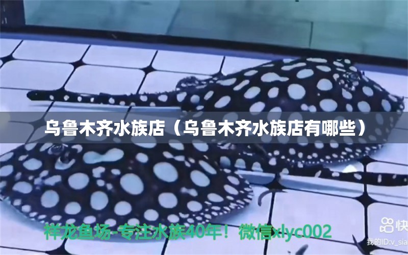 乌鲁木齐水族店（乌鲁木齐水族店有哪些）