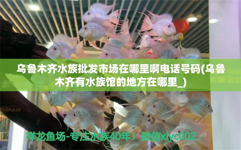 乌鲁木齐水族批发市场在哪里啊电话号码(乌鲁木齐有水族馆的地方在哪里_) 观赏鱼水族批发市场