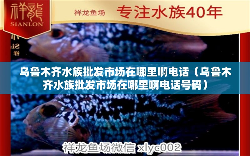 乌鲁木齐水族批发市场在哪里啊电话（乌鲁木齐水族批发市场在哪里啊电话号码） 观赏鱼水族批发市场