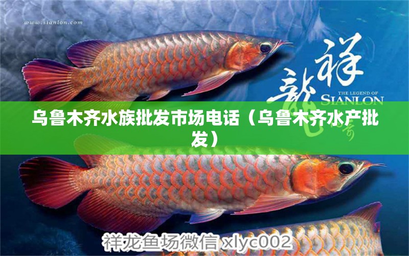 乌鲁木齐水族批发市场电话（乌鲁木齐水产批发）