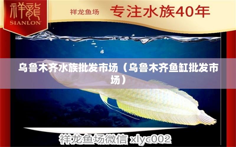 乌鲁木齐水族批发市场（乌鲁木齐鱼缸批发市场） 观赏鱼水族批发市场 第1张