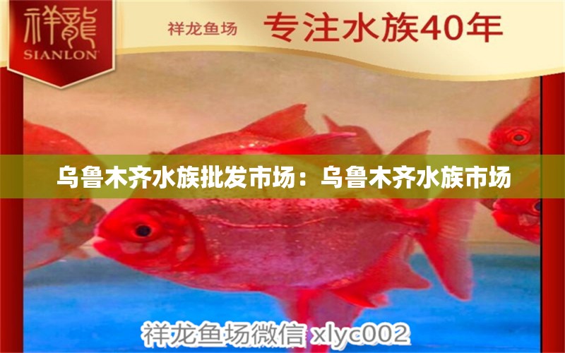 乌鲁木齐水族批发市场：乌鲁木齐水族市场 全国观赏鱼市场 第3张