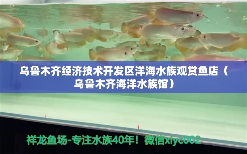 乌鲁木齐经济技术开发区洋海水族观赏鱼店（乌鲁木齐海洋水族馆） 全国水族馆企业名录