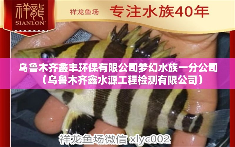 乌鲁木齐鑫丰环保有限公司梦幻水族一分公司（乌鲁木齐鑫水源工程检测有限公司）