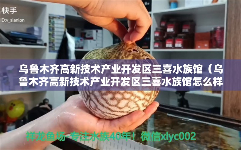 乌鲁木齐高新技术产业开发区三喜水族馆（乌鲁木齐高新技术产业开发区三喜水族馆怎么样）