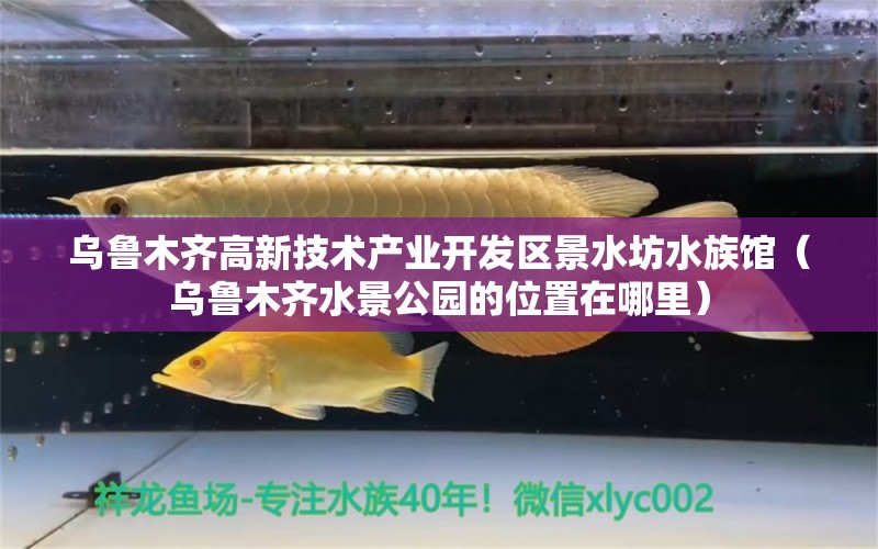 乌鲁木齐高新技术产业开发区景水坊水族馆（乌鲁木齐水景公园的位置在哪里） 全国水族馆企业名录