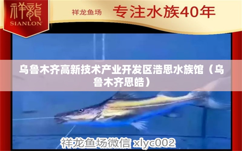 乌鲁木齐高新技术产业开发区浩思水族馆（乌鲁木齐思皓）