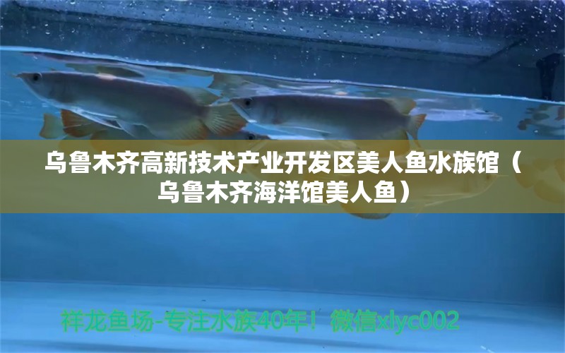 乌鲁木齐高新技术产业开发区美人鱼水族馆（乌鲁木齐海洋馆美人鱼） 全国水族馆企业名录