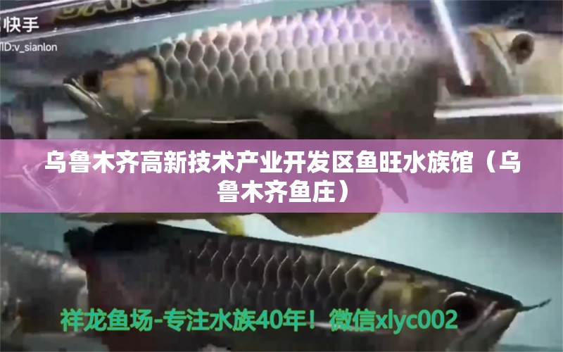 乌鲁木齐高新技术产业开发区鱼旺水族馆（乌鲁木齐鱼庄） 全国水族馆企业名录