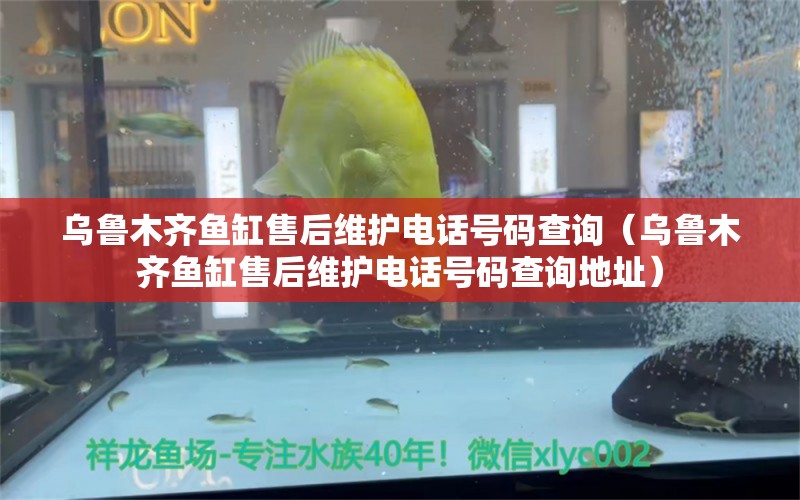 乌鲁木齐鱼缸售后维护电话号码查询（乌鲁木齐鱼缸售后维护电话号码查询地址）