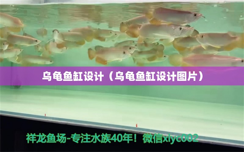 乌龟鱼缸设计（乌龟鱼缸设计图片）