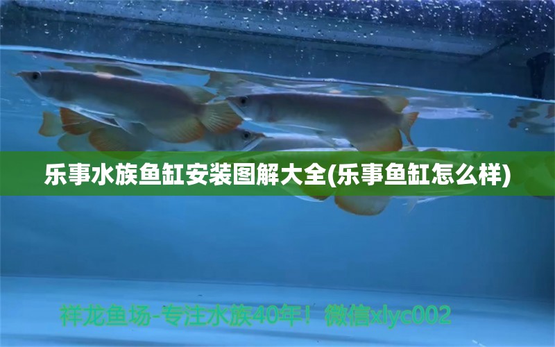 乐事水族鱼缸安装图解大全(乐事鱼缸怎么样) 龙鱼芯片扫码器