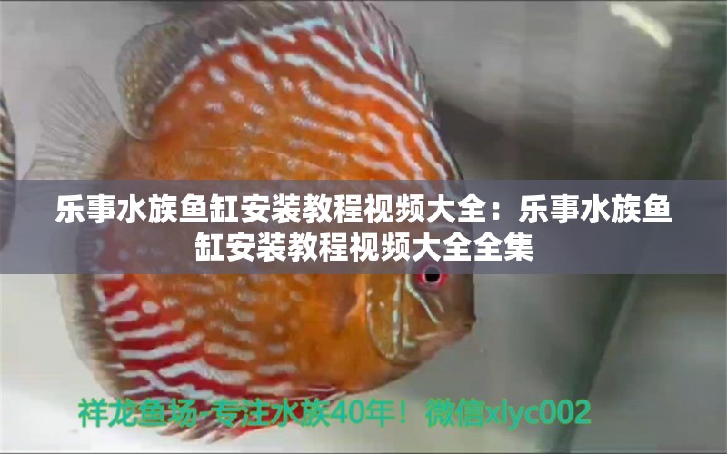 乐事水族鱼缸安装教程视频大全：乐事水族鱼缸安装教程视频大全全集