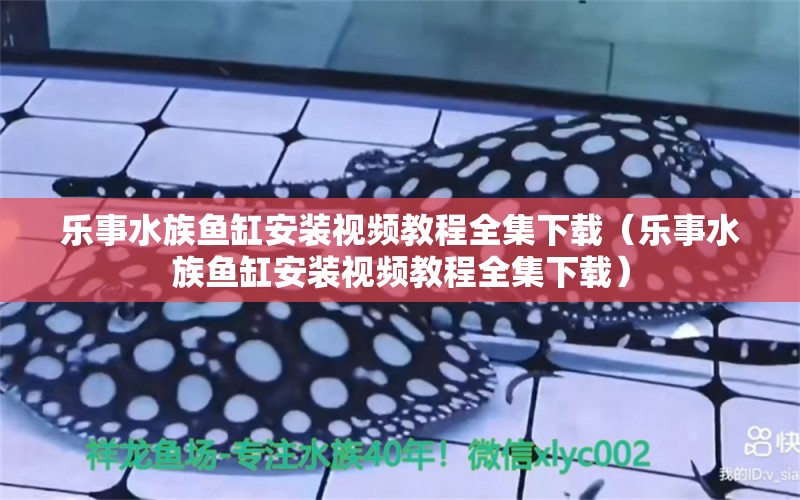 乐事水族鱼缸安装视频教程全集下载（乐事水族鱼缸安装视频教程全集下载） 观赏鱼市场（混养鱼）