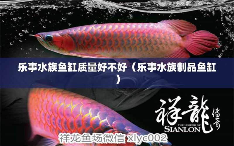 乐事水族鱼缸质量好不好（乐事水族制品鱼缸）