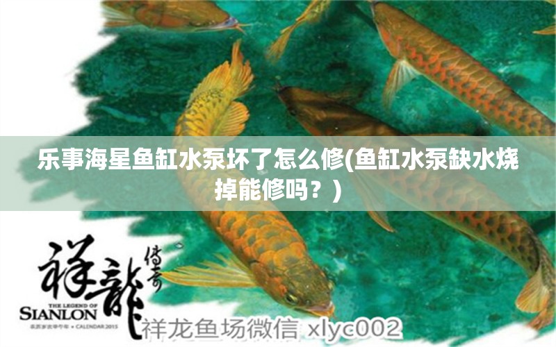 乐事海星鱼缸水泵坏了怎么修(鱼缸水泵缺水烧掉能修吗？)