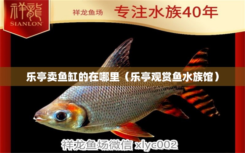 乐亭卖鱼缸的在哪里（乐亭观赏鱼水族馆） 观赏鱼市场（混养鱼）