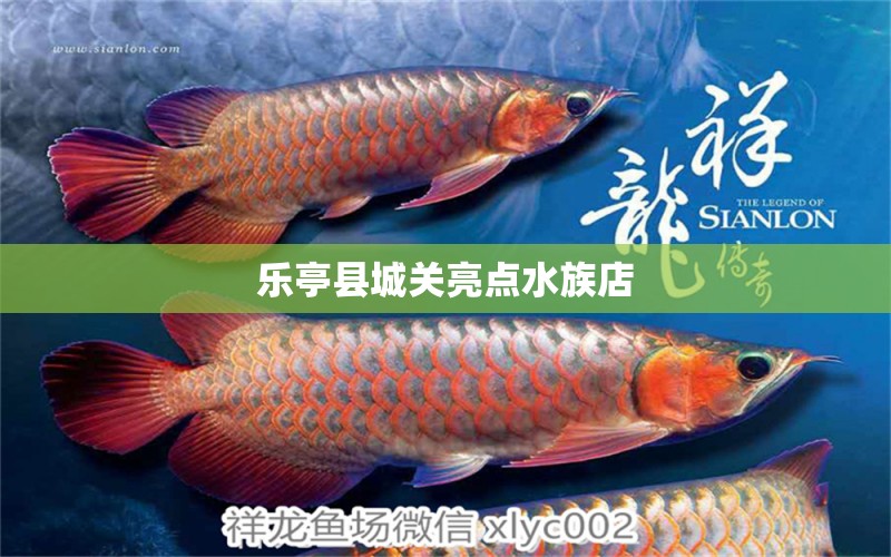 乐亭县城关亮点水族店