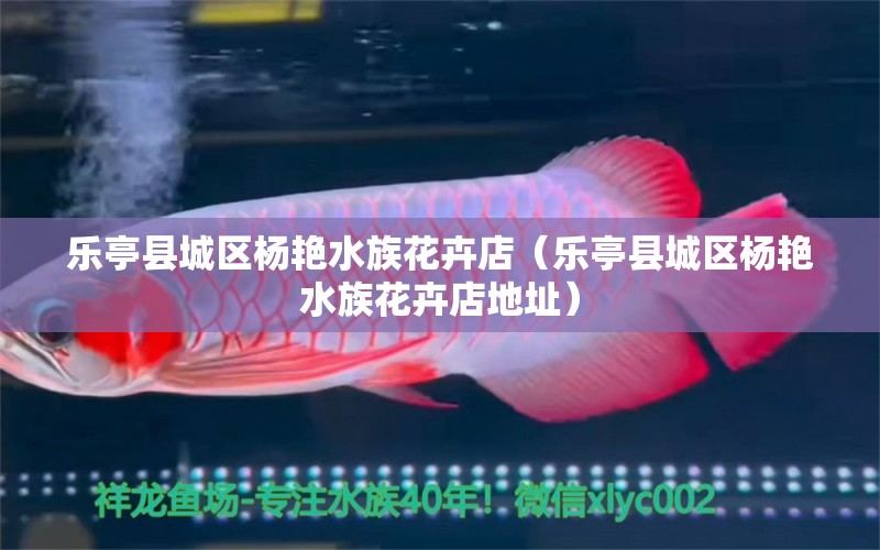 乐亭县城区杨艳水族花卉店（乐亭县城区杨艳水族花卉店地址）