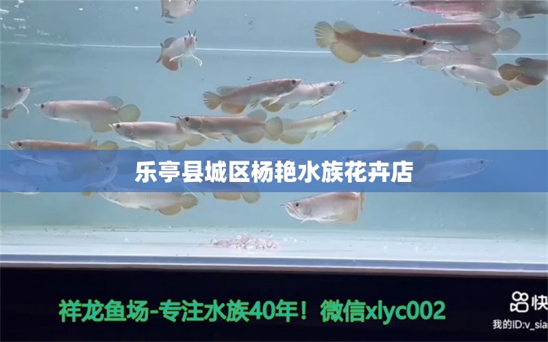 乐亭县城区杨艳水族花卉店