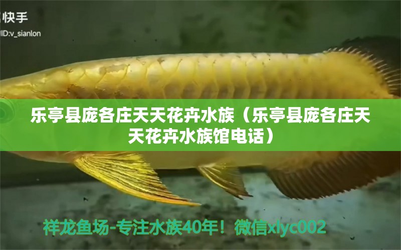 乐亭县庞各庄天天花卉水族（乐亭县庞各庄天天花卉水族馆电话） 全国水族馆企业名录