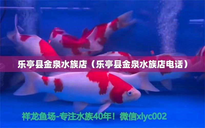 乐亭县金泉水族店（乐亭县金泉水族店电话）