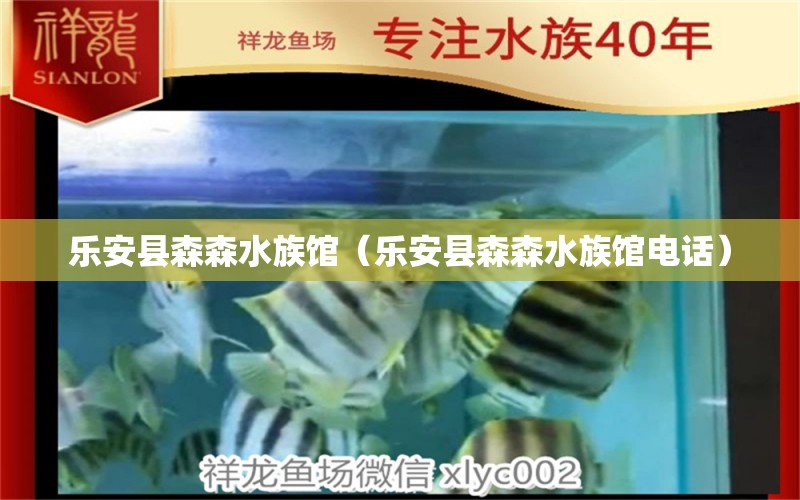 乐安县森森水族馆（乐安县森森水族馆电话） 全国水族馆企业名录