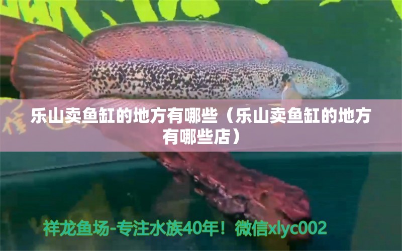 乐山卖鱼缸的地方有哪些（乐山卖鱼缸的地方有哪些店） 其他品牌鱼缸