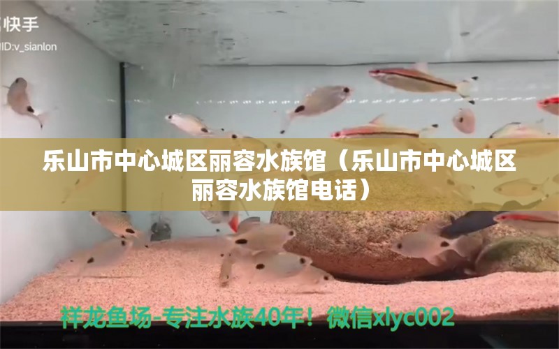 乐山市中心城区丽容水族馆（乐山市中心城区丽容水族馆电话） 全国水族馆企业名录