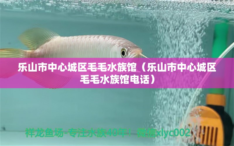 乐山市中心城区毛毛水族馆（乐山市中心城区毛毛水族馆电话）