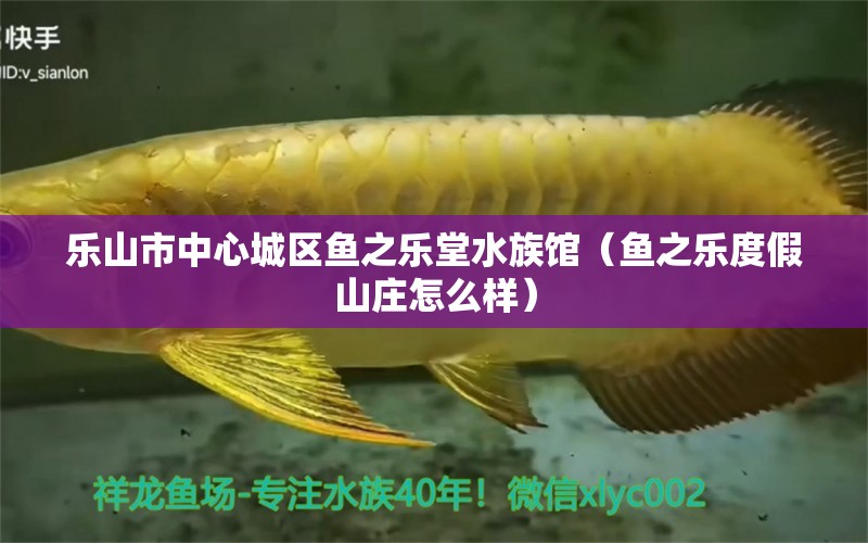 乐山市中心城区鱼之乐堂水族馆（鱼之乐度假山庄怎么样）