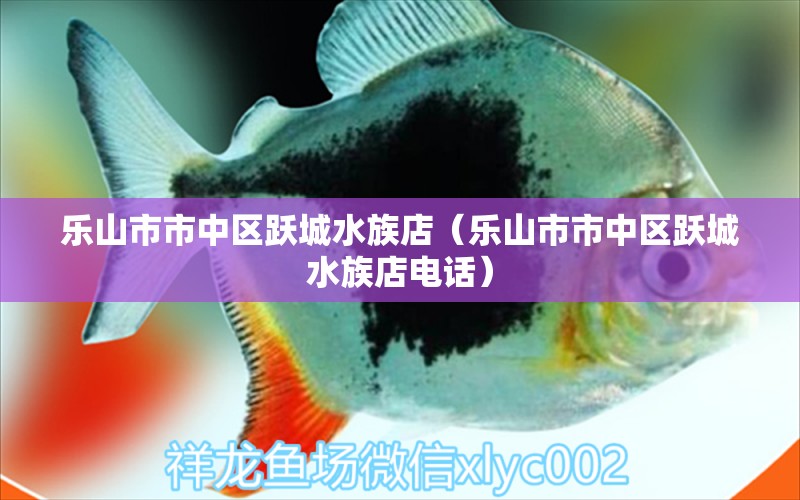 乐山市市中区跃城水族店（乐山市市中区跃城水族店电话） 全国水族馆企业名录