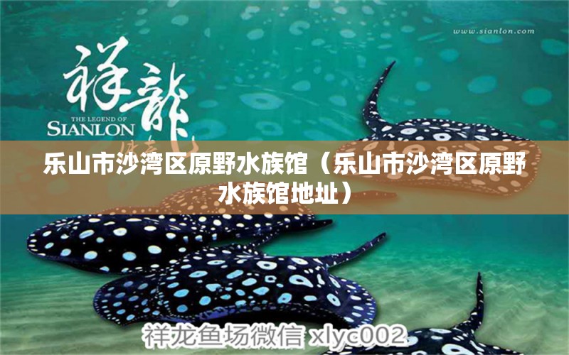 乐山市沙湾区原野水族馆（乐山市沙湾区原野水族馆地址） 全国水族馆企业名录