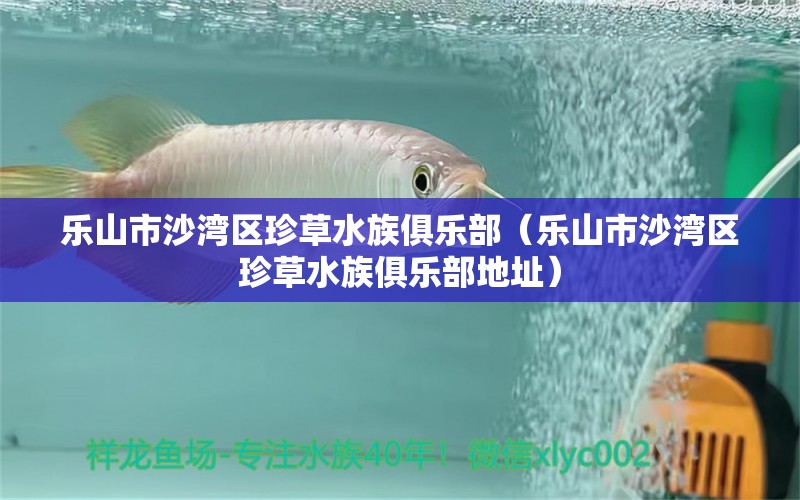 乐山市沙湾区珍草水族俱乐部（乐山市沙湾区珍草水族俱乐部地址） 全国水族馆企业名录