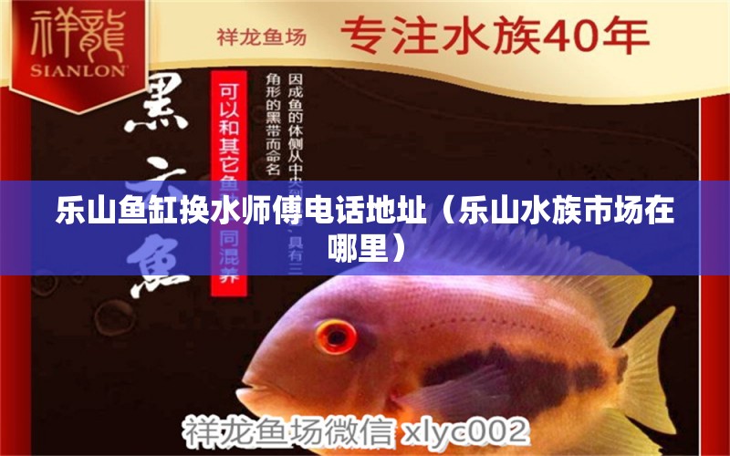 乐山鱼缸换水师傅电话地址（乐山水族市场在哪里）