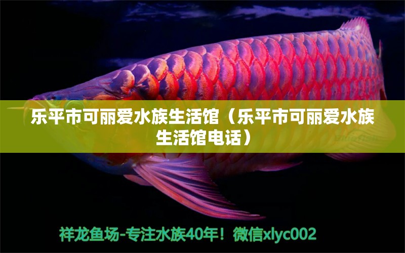 乐平市可丽爱水族生活馆（乐平市可丽爱水族生活馆电话） 全国水族馆企业名录