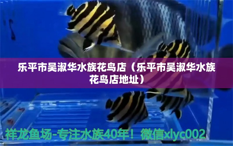 乐平市吴淑华水族花鸟店（乐平市吴淑华水族花鸟店地址） 全国水族馆企业名录