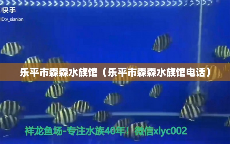 乐平市森森水族馆（乐平市森森水族馆电话） 全国水族馆企业名录