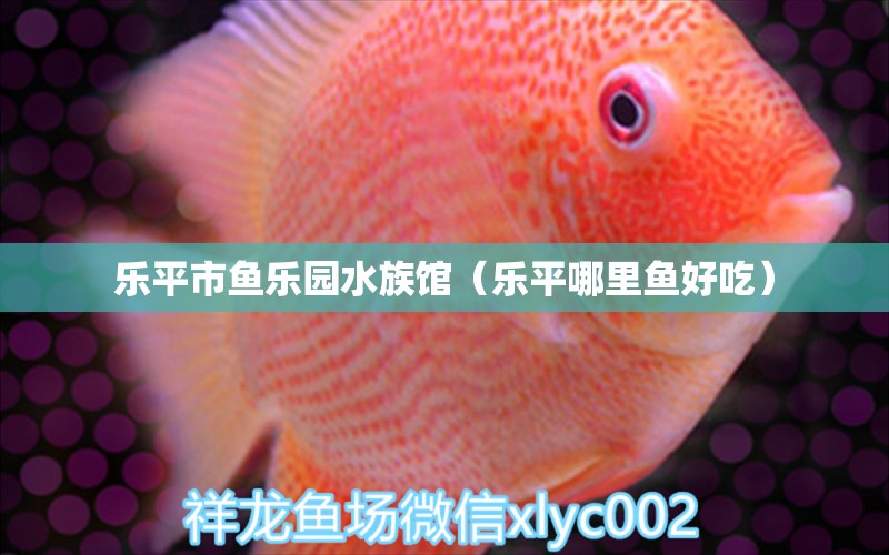 乐平市鱼乐园水族馆（乐平哪里鱼好吃）