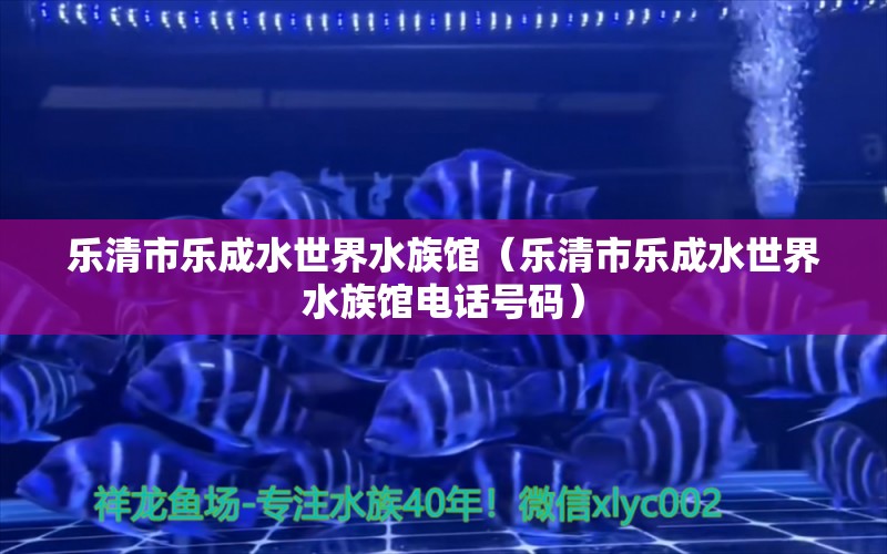 乐清市乐成水世界水族馆（乐清市乐成水世界水族馆电话号码） 全国水族馆企业名录