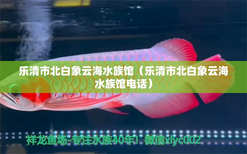 乐清市北白象云海水族馆（乐清市北白象云海水族馆电话） 全国水族馆企业名录