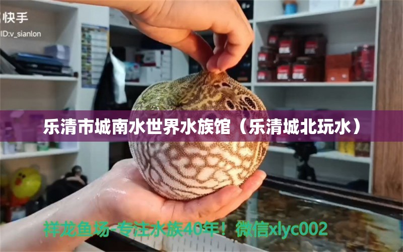 乐清市城南水世界水族馆（乐清城北玩水）