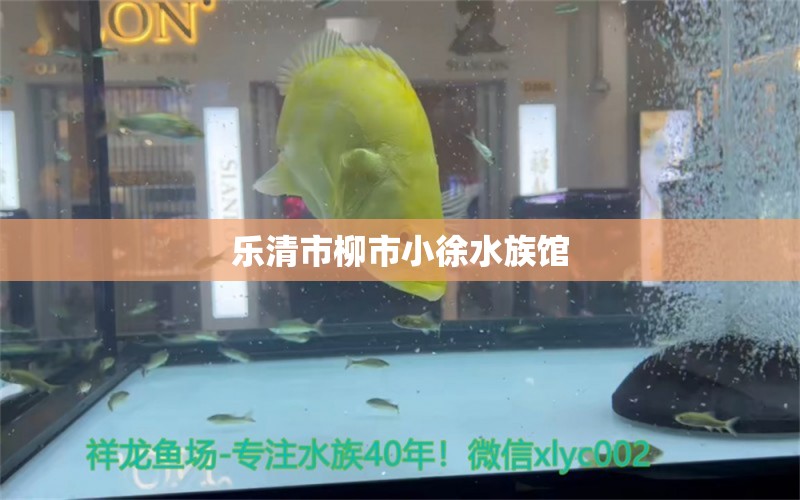 乐清市柳市小徐水族馆