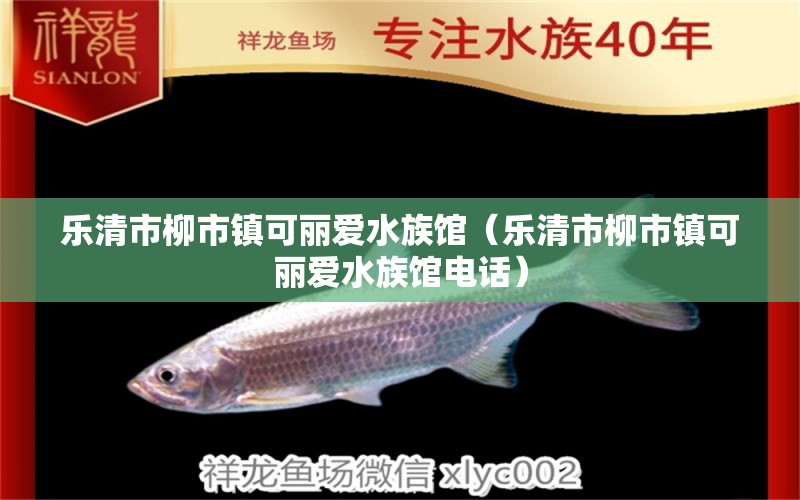 乐清市柳市镇可丽爱水族馆（乐清市柳市镇可丽爱水族馆电话）