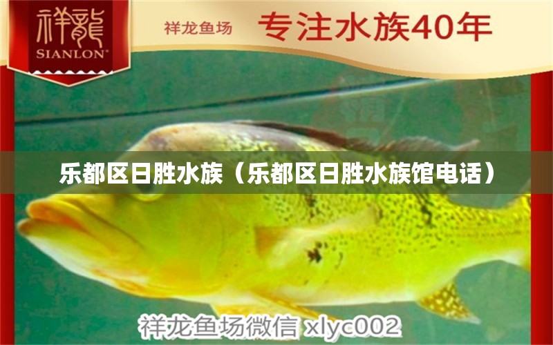 乐都区日胜水族（乐都区日胜水族馆电话） 全国水族馆企业名录