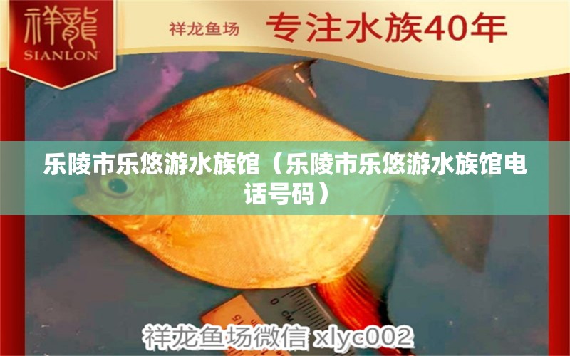 乐陵市乐悠游水族馆（乐陵市乐悠游水族馆电话号码）