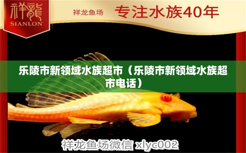 乐陵市新领域水族超市（乐陵市新领域水族超市电话）